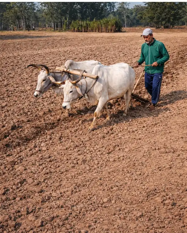 औळ लान्दु बैरै