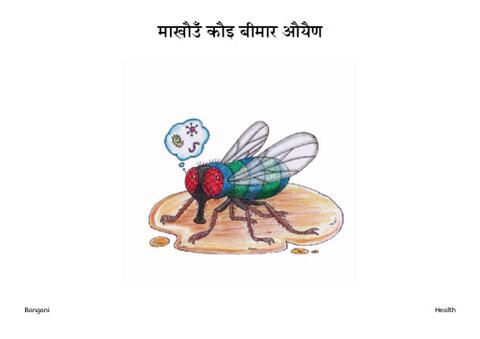 13 माखौउँ कौइ बीमार औयैण-Bangani-Pages.pdf